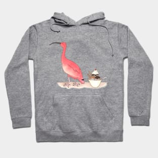 I is for Ibis Hoodie